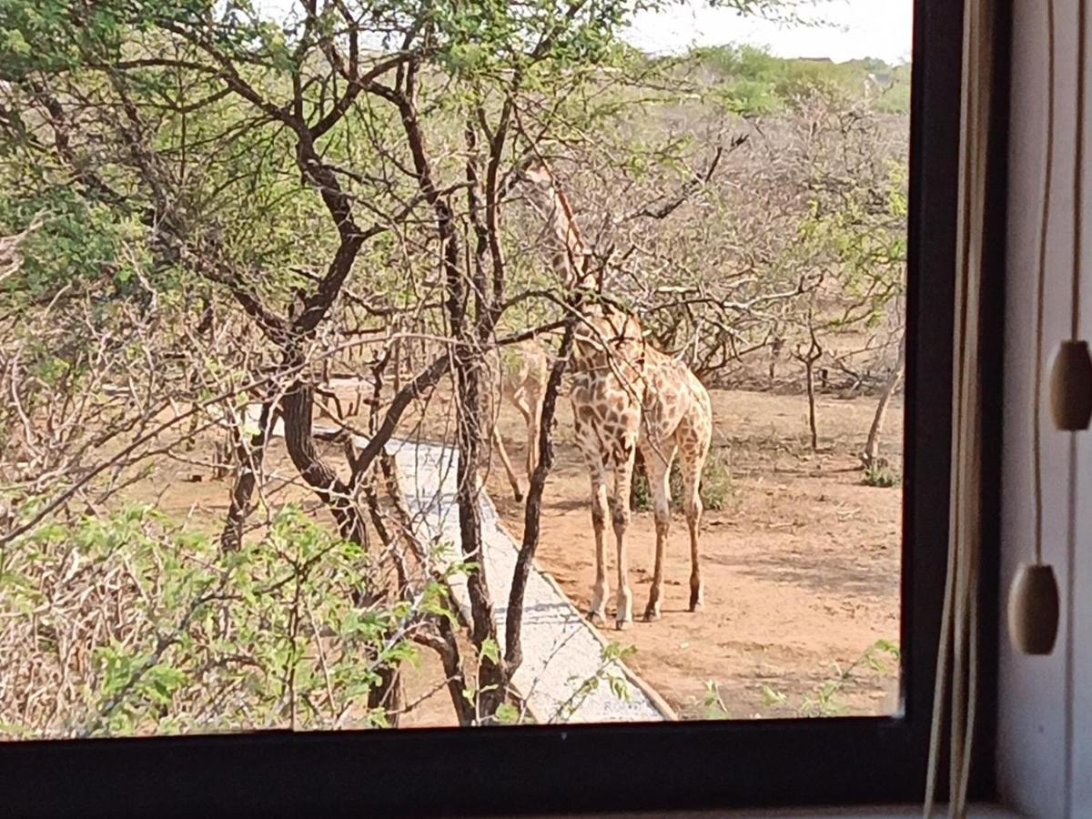 Apartamento Marloth Kruger View Marloth Park Exterior foto