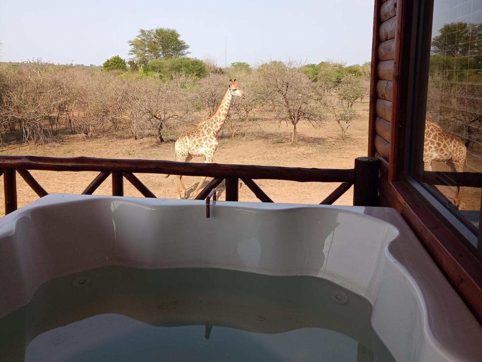 Apartamento Marloth Kruger View Marloth Park Exterior foto