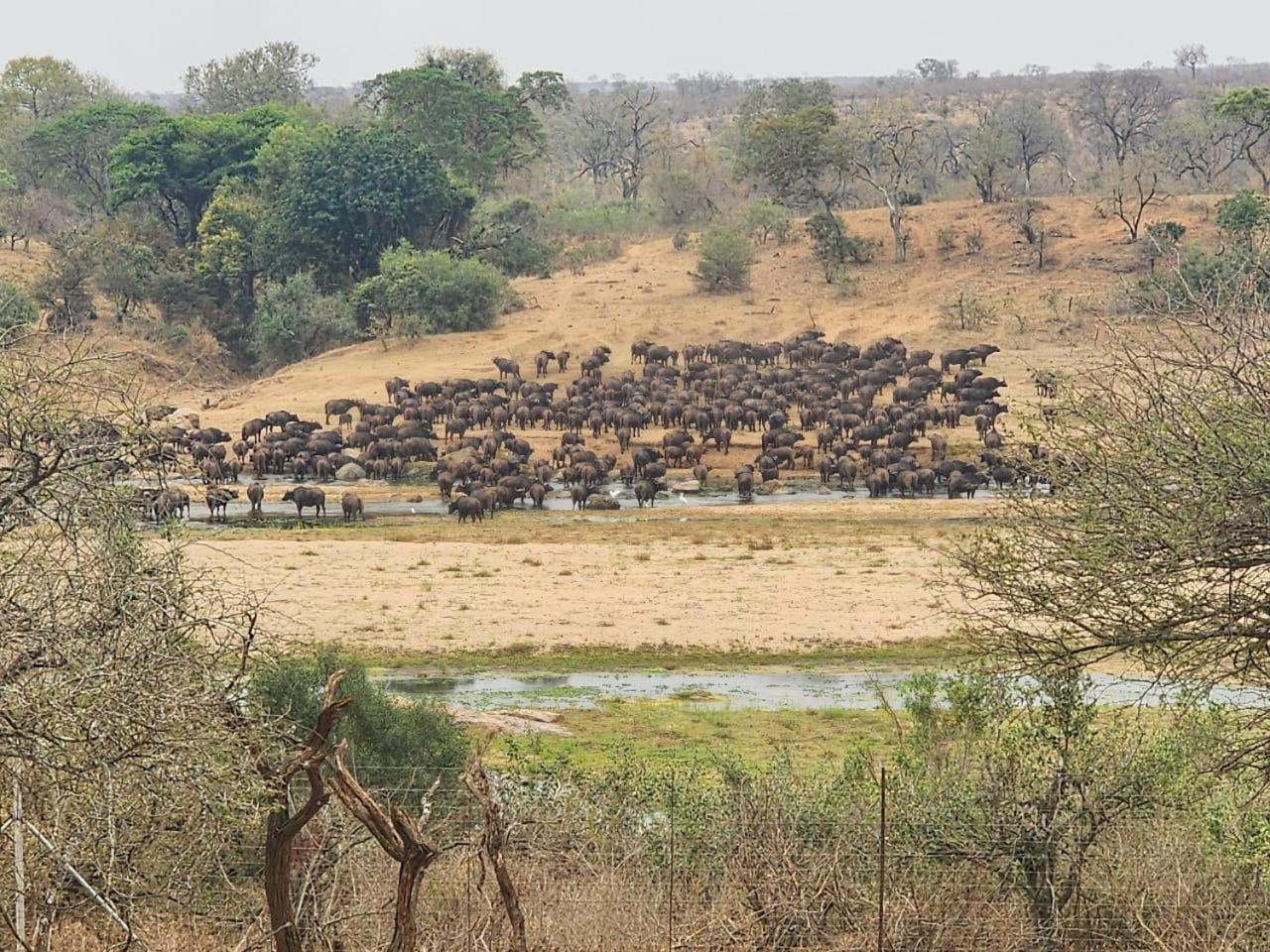Apartamento Marloth Kruger View Marloth Park Exterior foto